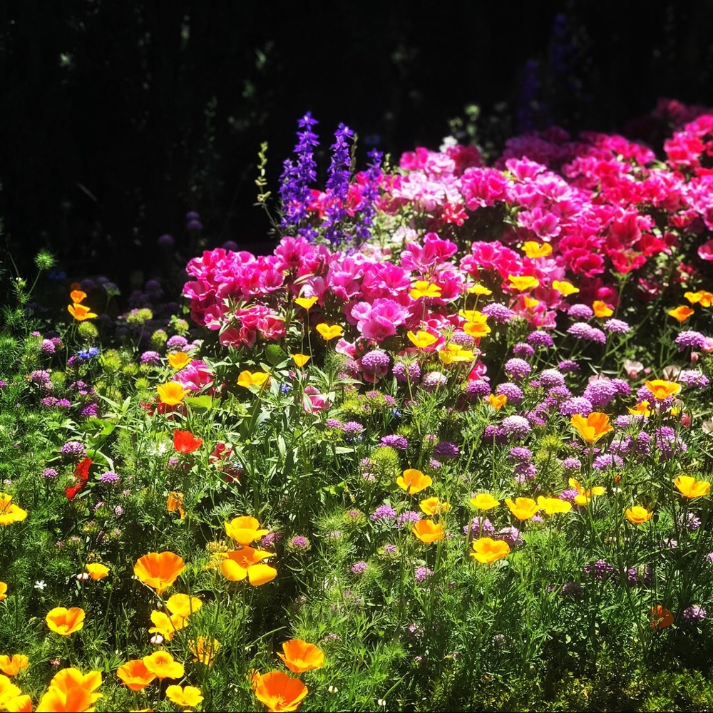 Meet your Posher, Paola